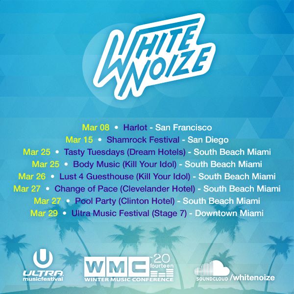 WhiteNoize Flyer